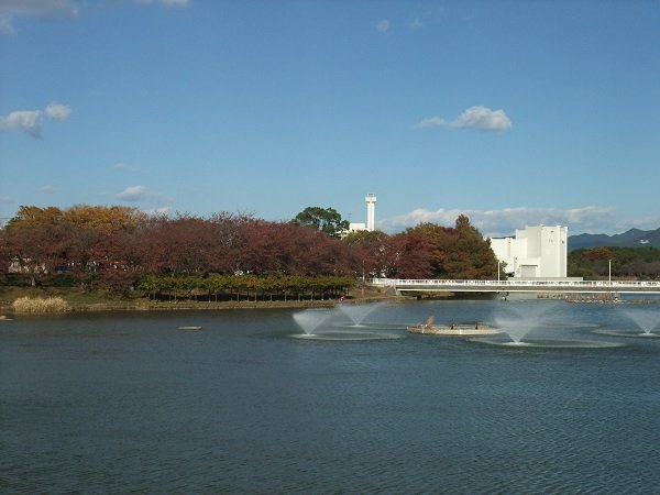 🏞️ 무카이야마 녹지(무카이야마 료쿠치) 이미지 1
